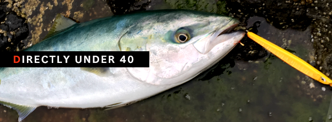 DIRECTLY UNDER 40 ディアン40 DIRECTLY UNDER 40 ディアン40