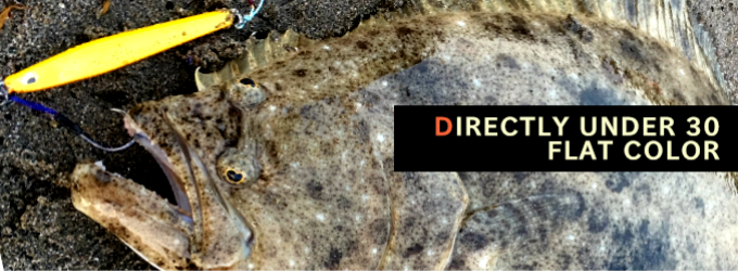 ディアン30 フラットカラー