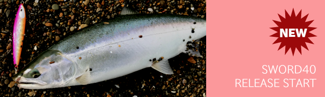 SWORD40
