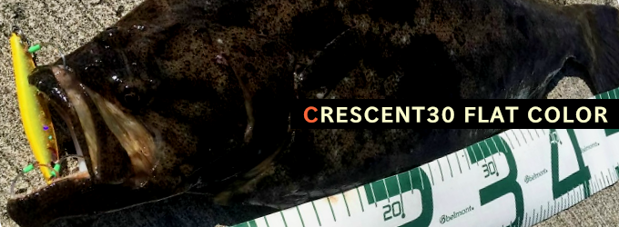 クレセント30 フラットカラー