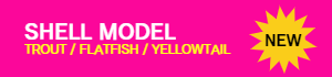 SHELL MODEL