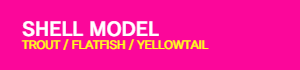 SHELL MODEL