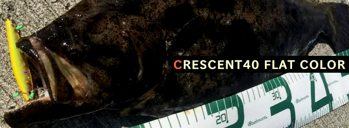 クレセント40 フラットカラー