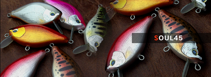 SOUL45