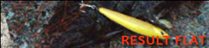 RESULT FLAT
