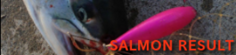 SALMON RESULT
