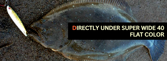 ディアンスーパーワイド40