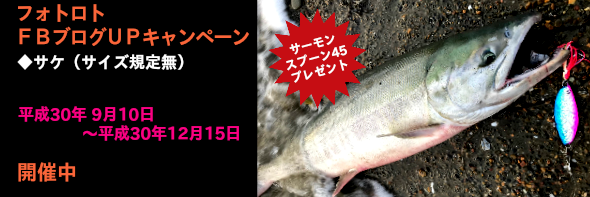 フォトロト