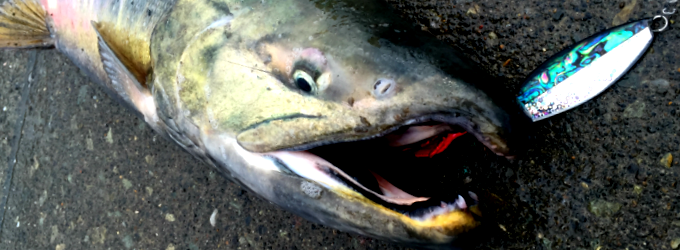 サーモンスプーン45/55 シェルモデル