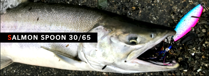 サーモンスプーン30/65