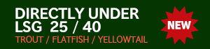 DIRECTRY UNDER LSG 25/40