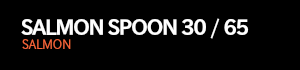 SALMON SPOON 30/65