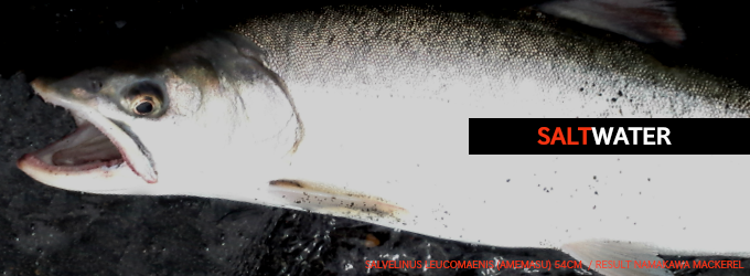 ソルトウォーター