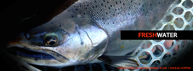 フレッシュウォーター