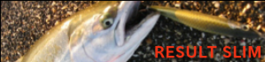 RESULT SLIM