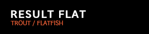 RESULT FLAT