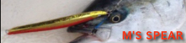 M'S SPEAR