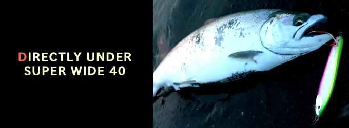 ディアンスーパーワイド40