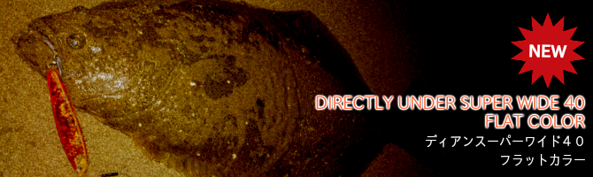 ディアンスーパーワイド40 フラットカラー