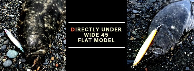 ディアンワイド45フラットモデル