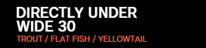 DIRECTLY UNDER 30-40
