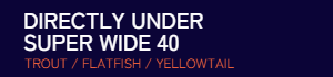 DIRECTLY UNDER SUPER WIDE 40