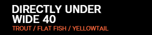DIRECTLY UNDER 30-40