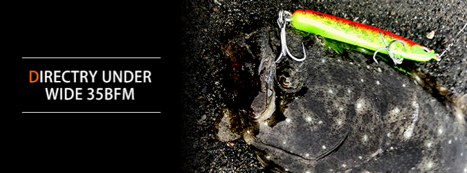 ディアンワイド35BFM