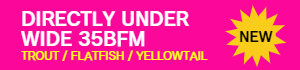 DIRECTLY UNDER WIDE 35BFM