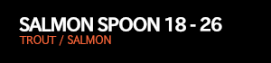 SALMON SPOON 18-26