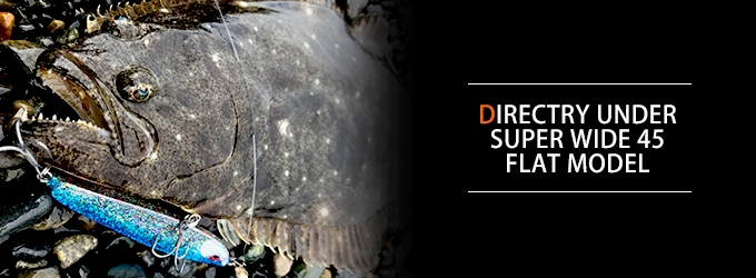 ディアンスーパーワイド45フラットモデル