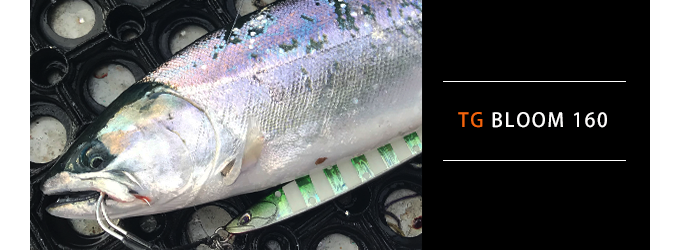 TGブルーム160