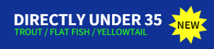 DIRECTRY UNDER 35