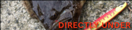 DIRECTRY UNDER 35
